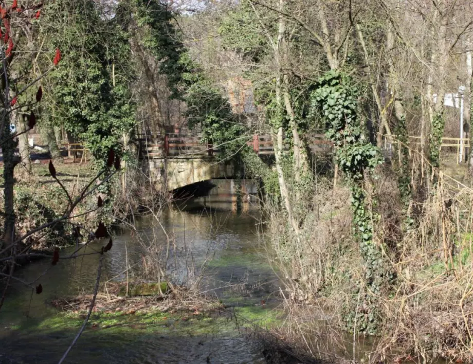 Община Плевен възложи прочистване на реката в парк „Кайлъка“