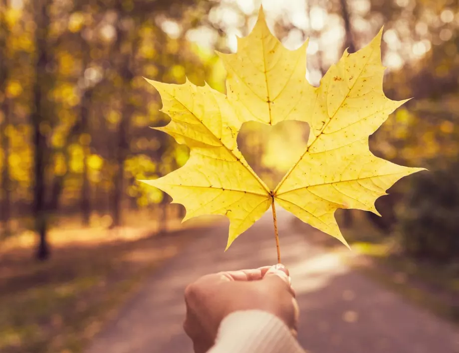 Времето утре - 5 ноември 