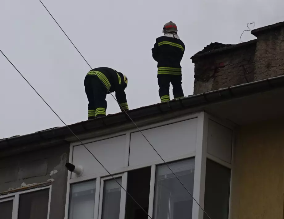 Какви са предимствата на професионалните фирми за ремонт на покриви?