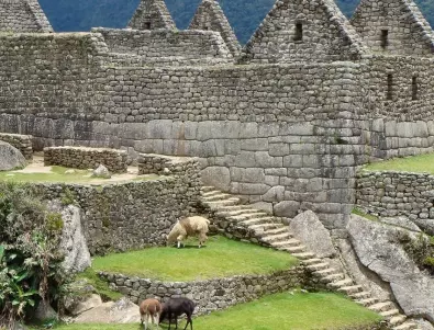 Откриха гробница на 2000 години в Перу