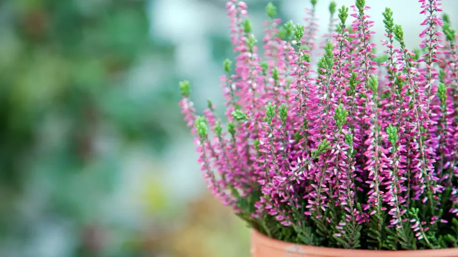 Прогноза за времето - 22 февруари (вторник)