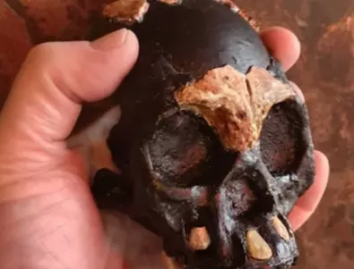 Загадъчен череп на човешки прародител е открит в ЮАР (ВИДЕО)