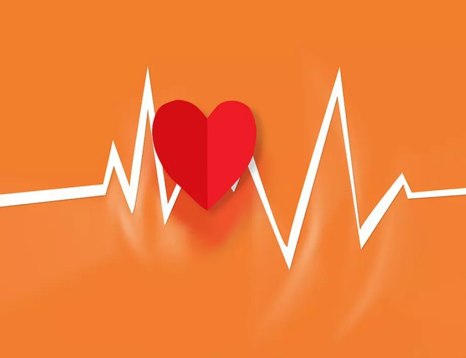 Кардиолог посочи 10 начина да поддържате сърцето в отлично здраве
