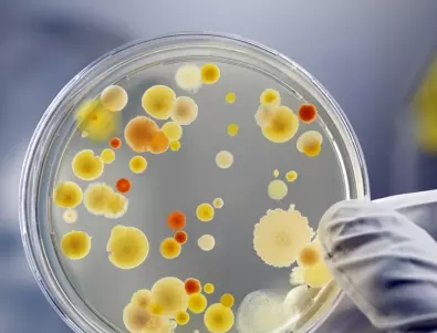 Унищожават ли се микробите ако останат без кислород