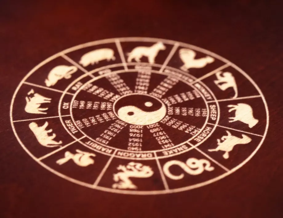 Мангуста, котка или слон: Кой сте вие според древния индийски хороскоп
