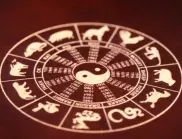 Колко на брой са зодиите по китайския хороскоп?