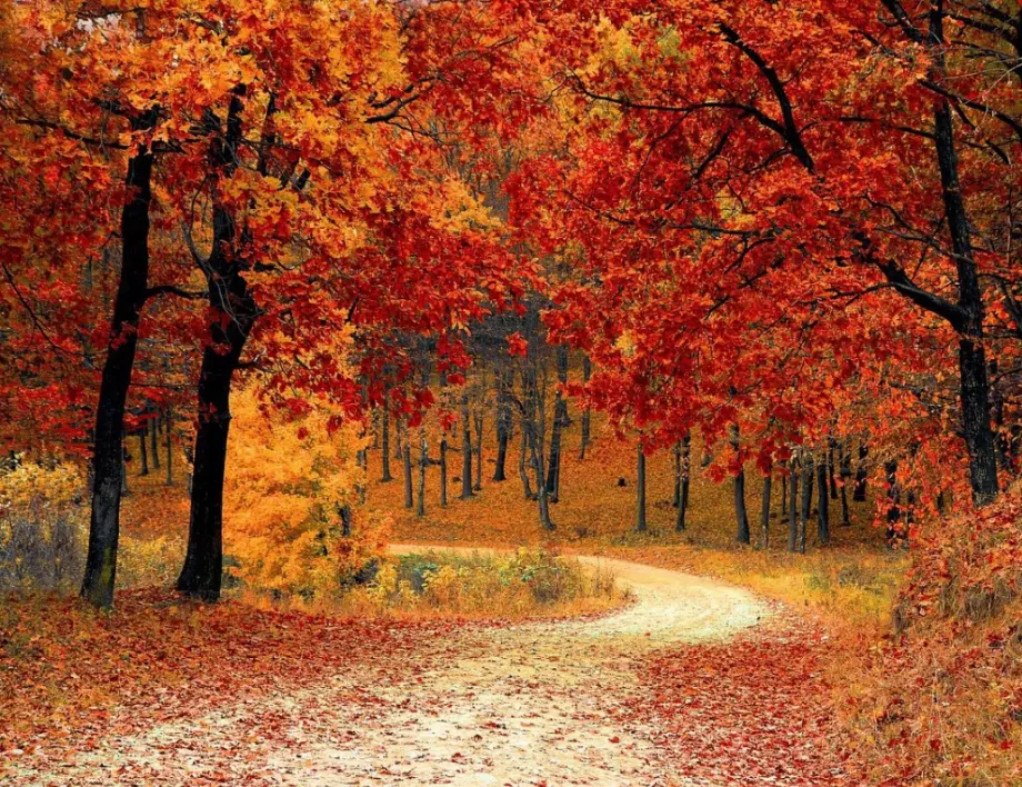 9 неща, които със сигурност не знаете за есента