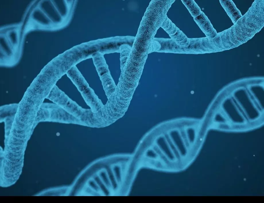 Специалните гени: Учените търсят хора, неподатливи на заразяване с COVID-19