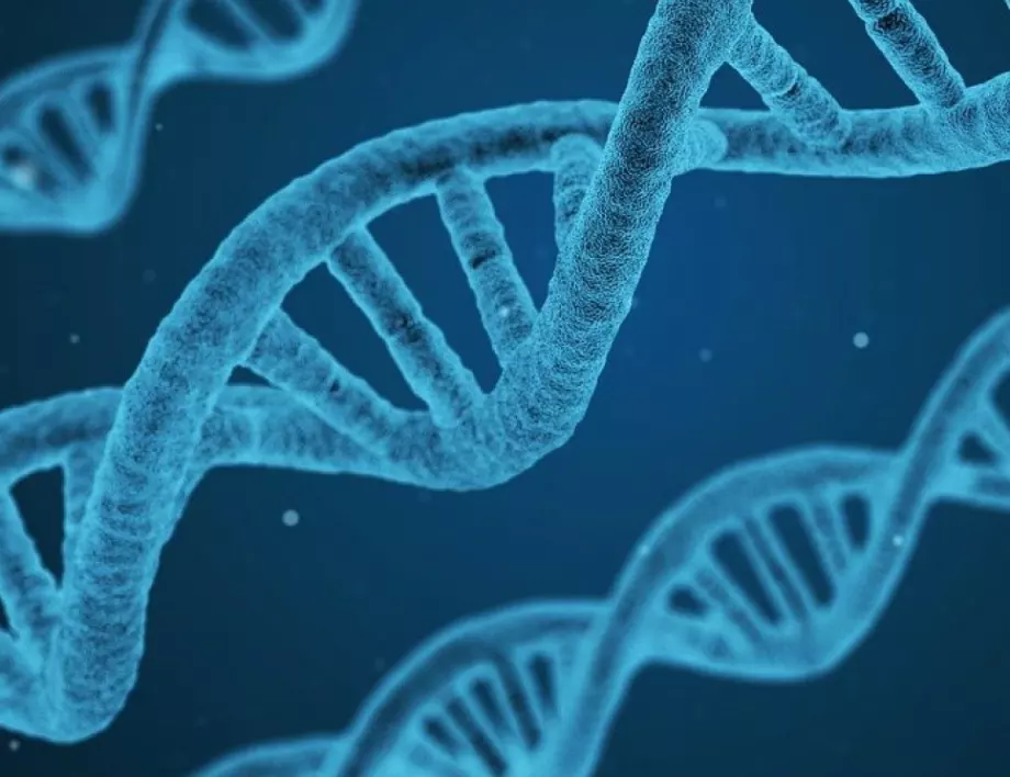 Учени създадоха ДНК устройство за унищожаване на ракови тумори
