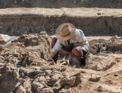 Лопата от слонова кост на 99 000 години откриха в Китай