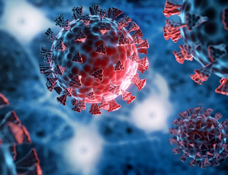 Влизане с взлом. Учени за първи път заснеха как коронавирусът заразява клетката (ВИДЕО)