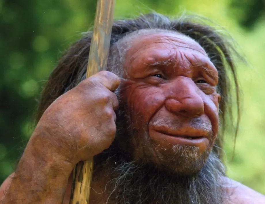 Неандерталците били отговорни за стомашните и съдовите заболявания