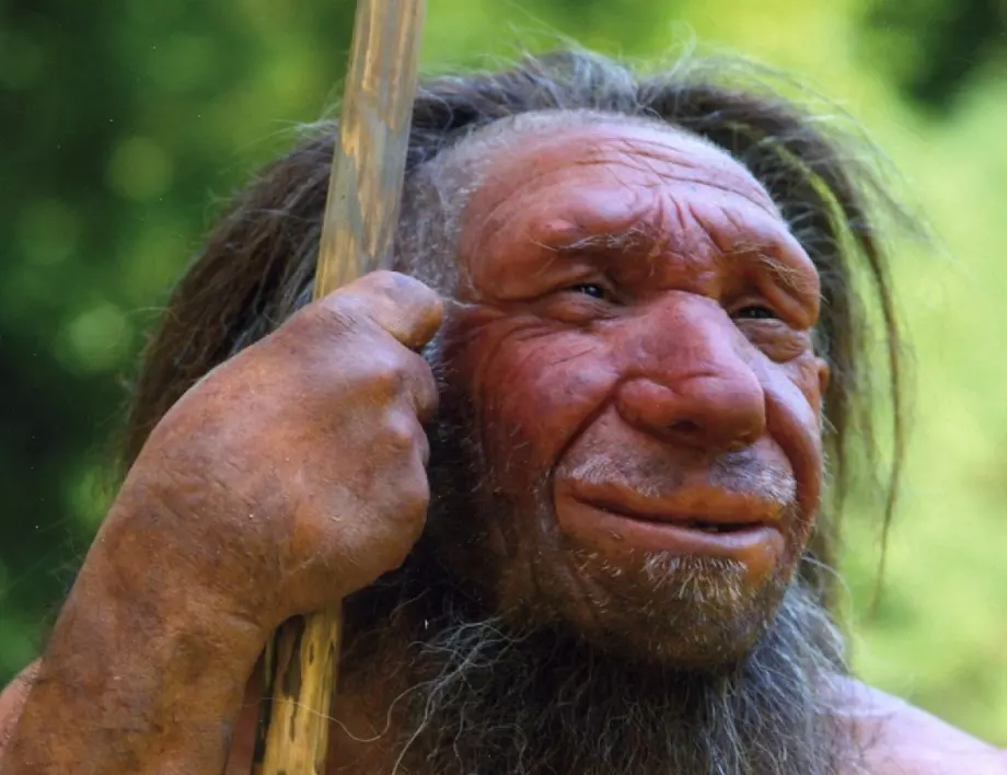 Неандерталците и хората от съвременен тип се кръстосвали основно в Близкия изток