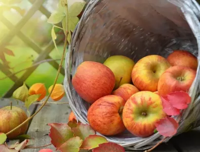 Тези сортове ябълки са най-полезни и вкусни