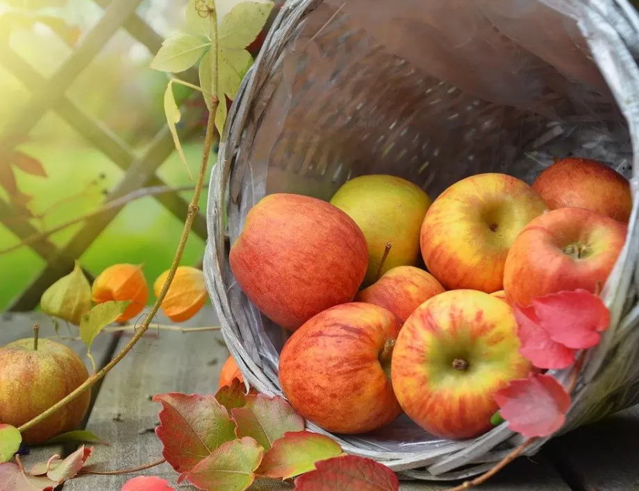 Правилно съхранение на ябълките, за да се наслаждавате на реколтата по-дълго