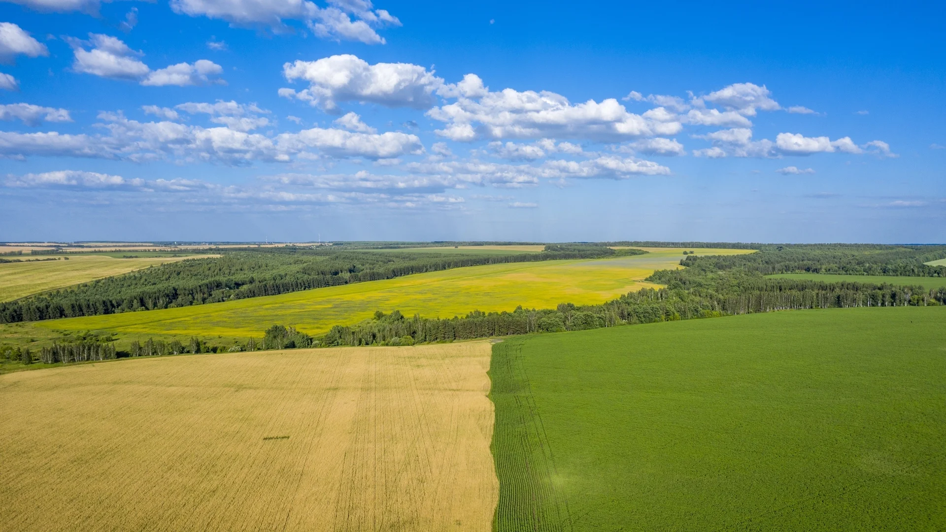 Съдът на ЕС позволи на чужденци да купуват земеделска земя в България