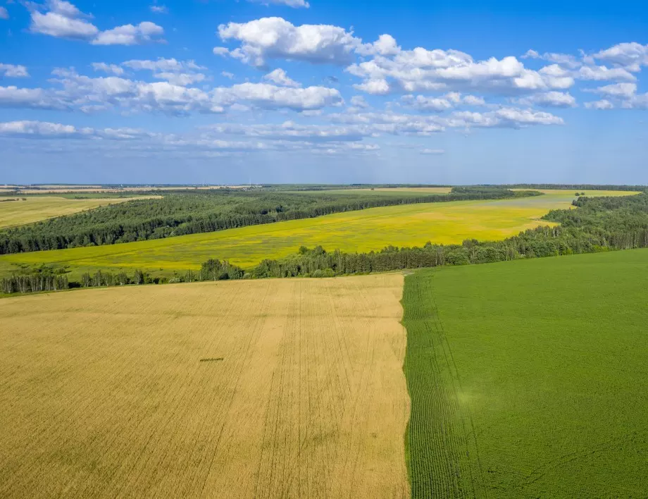 Съдът на ЕС позволи на чужденци да купуват земеделска земя в България