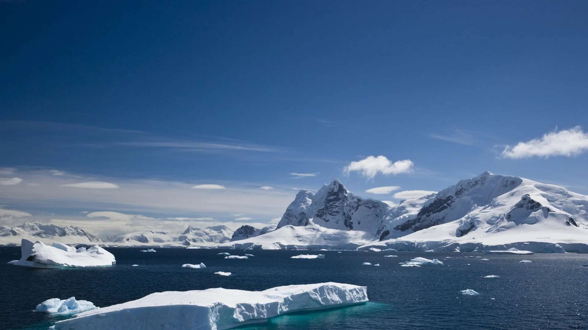 Какви са основните разлики между Северния и Южния полюс