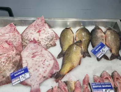 Проверки за Никулден: Пазарите преливат от шаран, вносната риба има документи 
