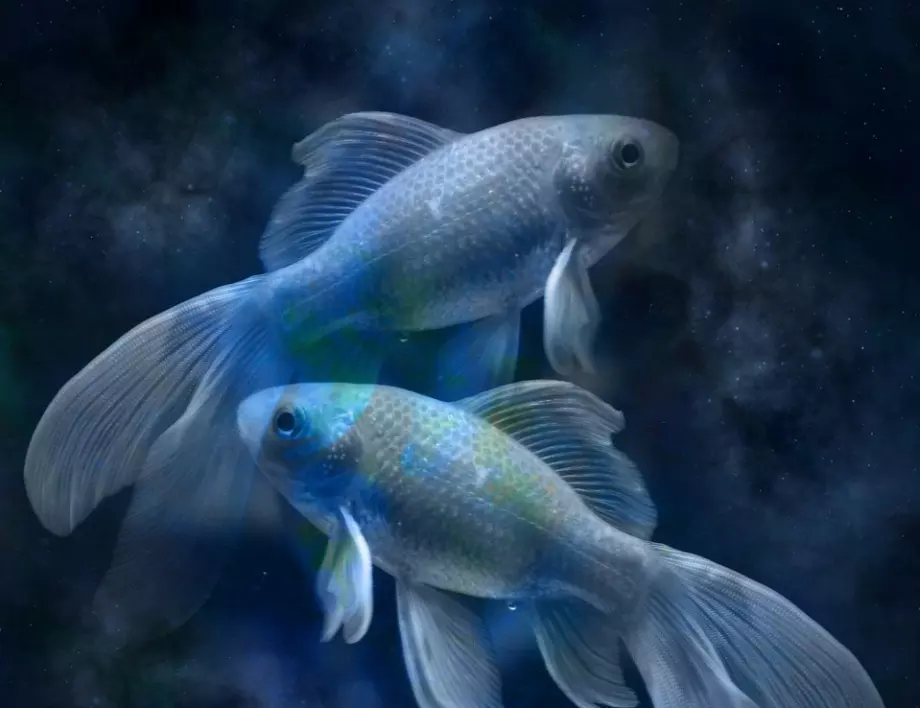 5 причини зодия Риби да са противоречиви и променливи