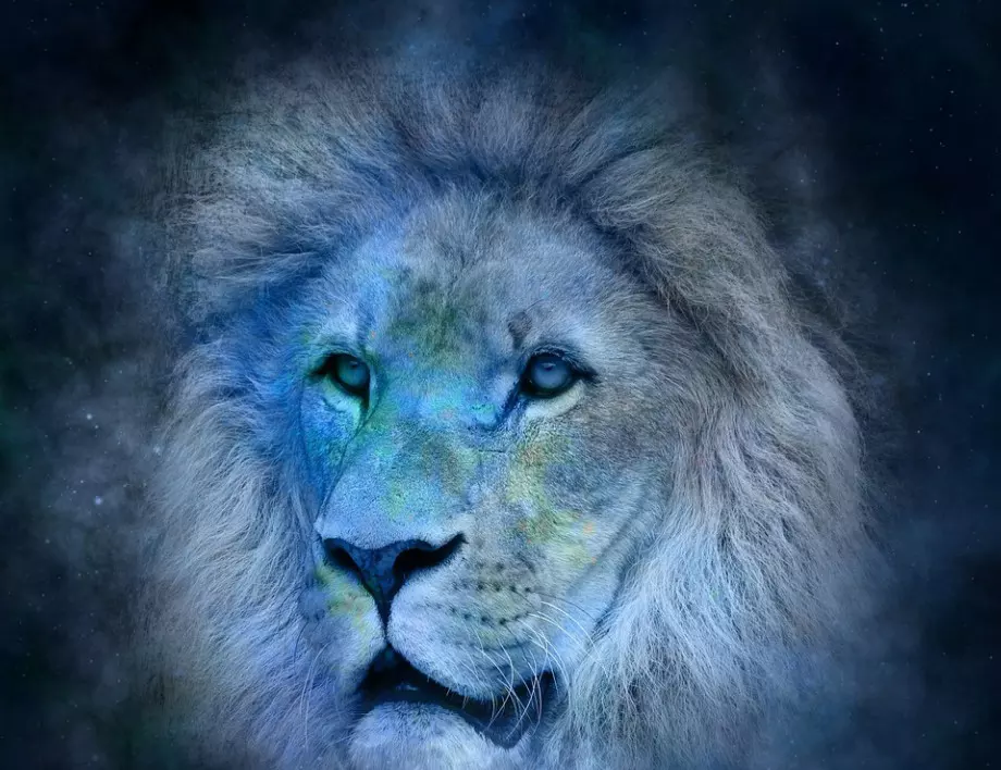 Кои са най-типичните неща за зодия лъв, които трябва да имате предвид