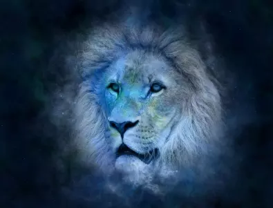 Какъв е девизът на зодия Лъв, който ще му донесе успех през новата 2023 година