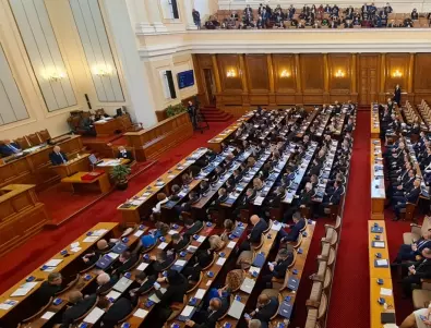 Хит в социалните мрежи: Депутатка на Кирил Петков пламенно го възвеличава от трибуната на парламента (ВИДЕО)