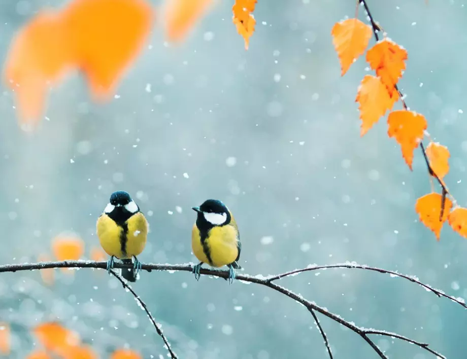 Времето утре - 5 декември 