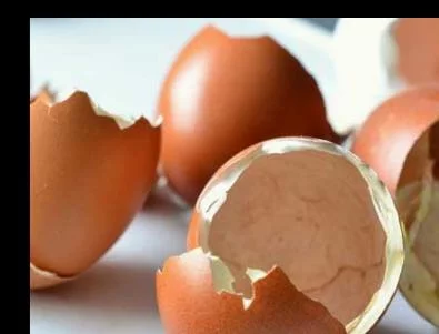 Стана ясно защо Йорданка Христова хапва черупки от яйца