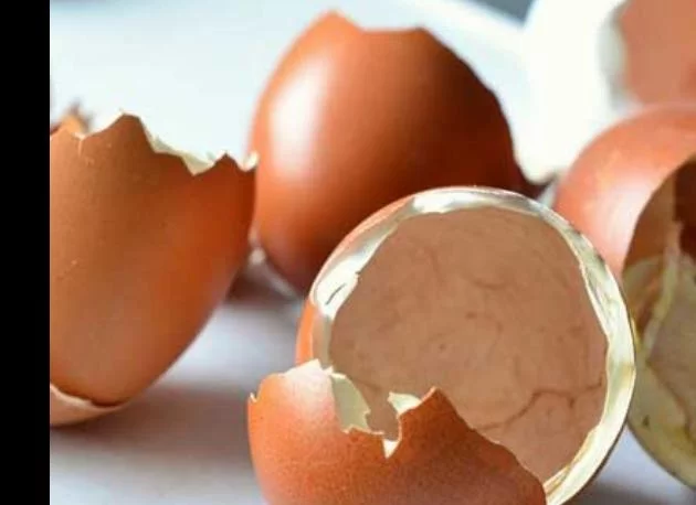 Стана ясно защо Йорданка Христова хапва черупки от яйца