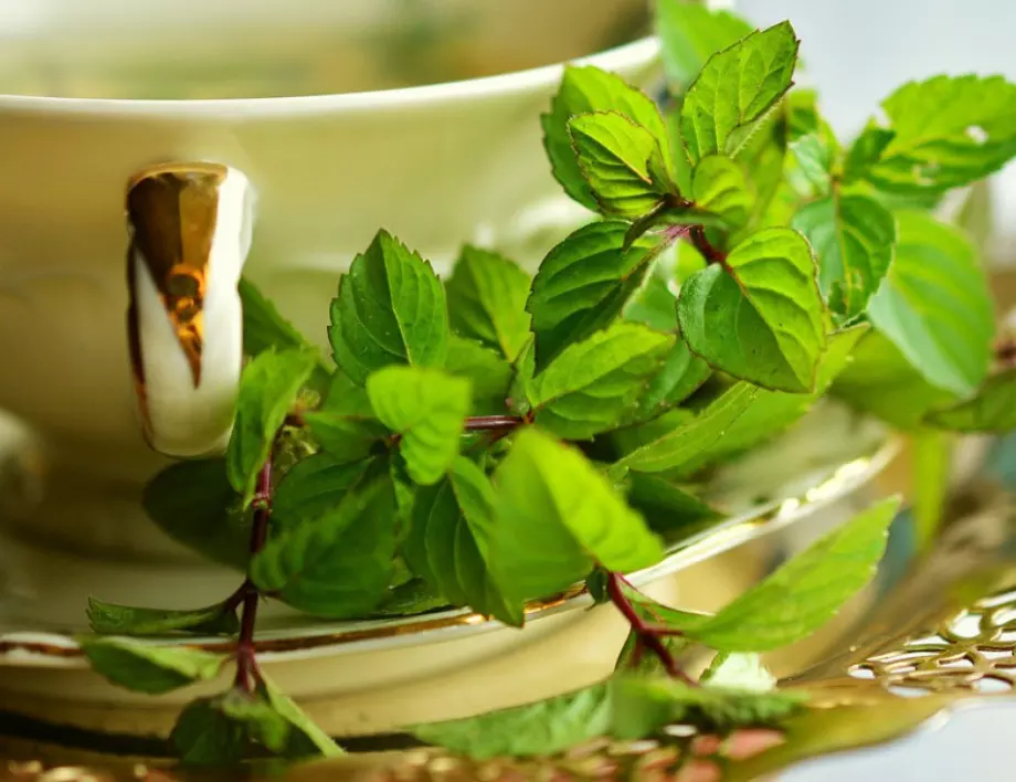 Чайовете, които помагат при болки в стомаха