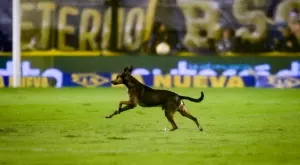 {{ otherArticle[0].article.title }}