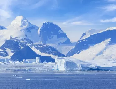 До края на века 97% от животинските видове на Антарктида може да изчезнат