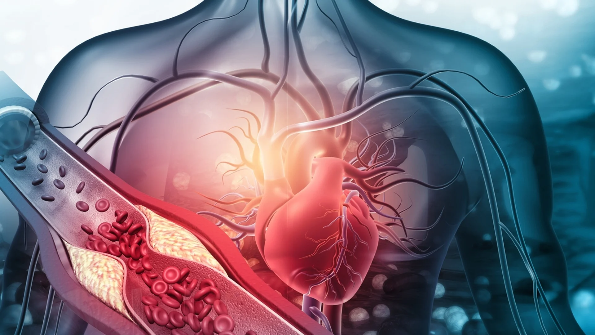 Осем естествени средства за намаляване на мазнините в кръвта