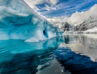Оазис от живот се крие под антарктически шелф
