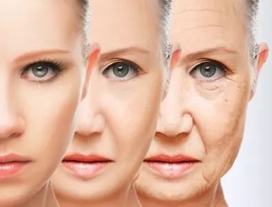 Стареенето има три етапа, установиха изследователи