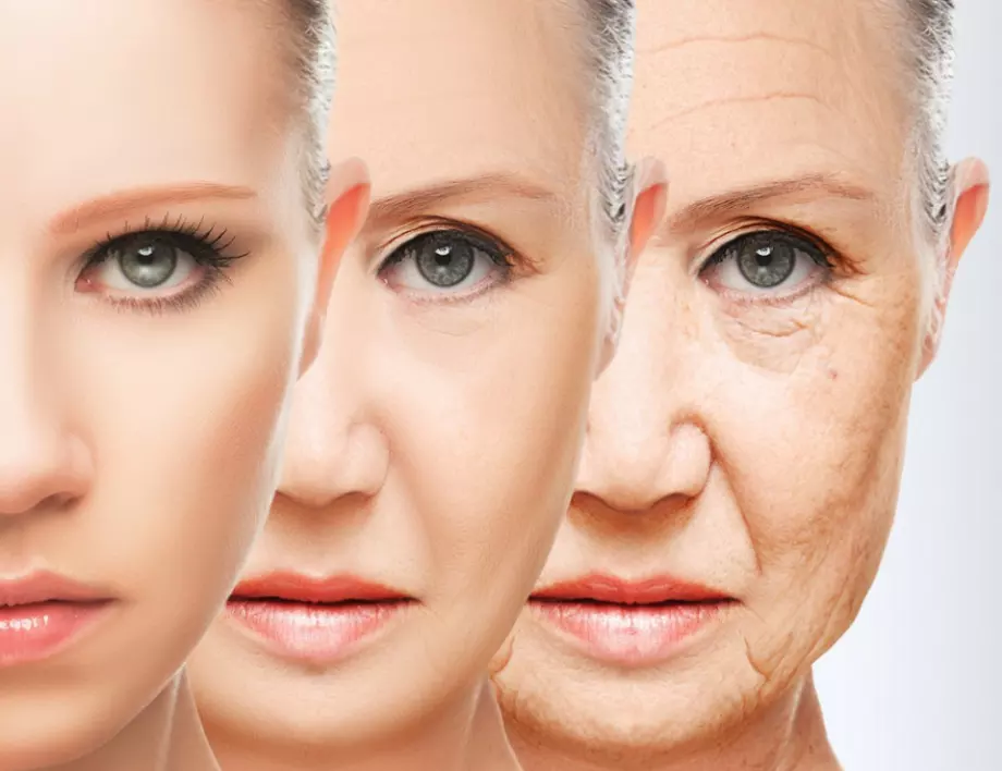 Стареенето има три етапа, установиха изследователи
