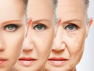 Изследователите откриха начин за забавяне на човешкото стареене
