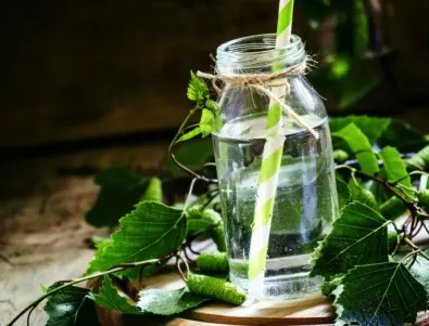 Най-модерната напитка за отслабване – брезовата вода и ползите за здравето от нея