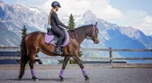 Спортът по ТВ - Ето какво да гледаме днес, 27 август, събота