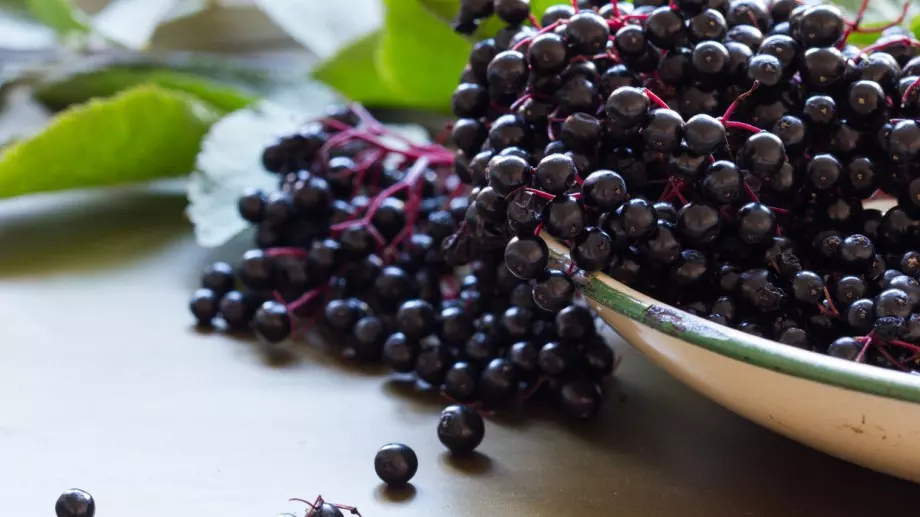 Яжте този суперплод за силен имунитет през зимата 