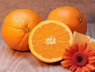 Как да отгледаме портокал от семе у дома: 4 важни нюанса