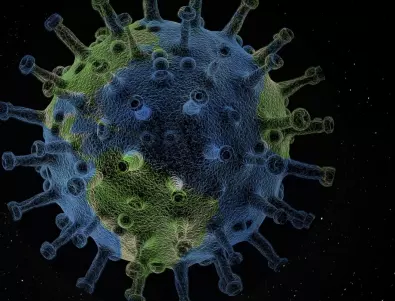 Учени изследват връзката между вариантите на COVID-19 и нелекуван ХИВ вирус