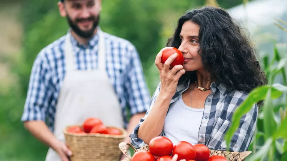 Сложете от тази подправка в градината и доматите ще станат два пъти по-вкусни