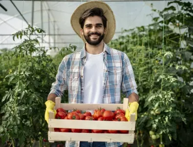 Засадете този зеленчук до доматите и реколтата им ще е много по-богата