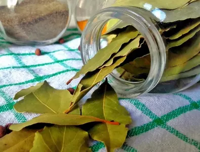 Чай от дафинов лист – знаете ли за какво помага?