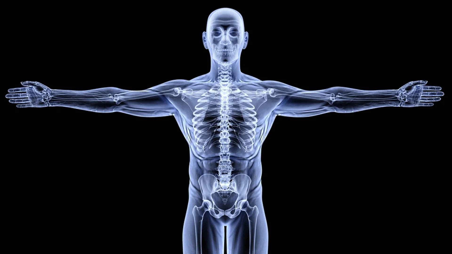 Знаете ли колко кости има в човешкото тяло?