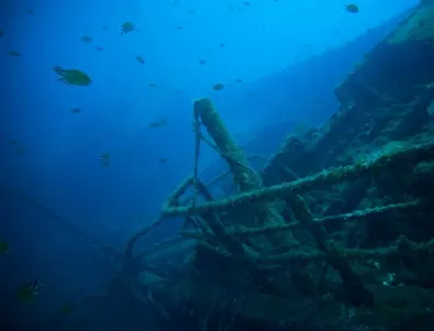 114 вида морски животни обитават древен картагенски кораб