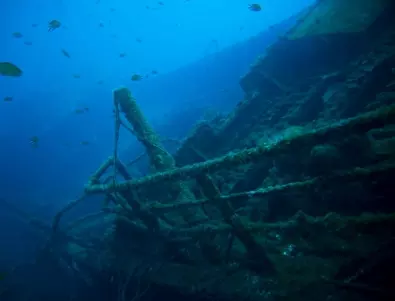 Древногръцки кораб, пълен с потънали съкровища, е открит край Александрия (СНИМКИ)