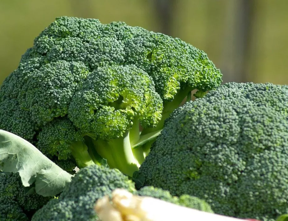 Какво ще е случи с тялото ни, ако ядем редовно броколи?